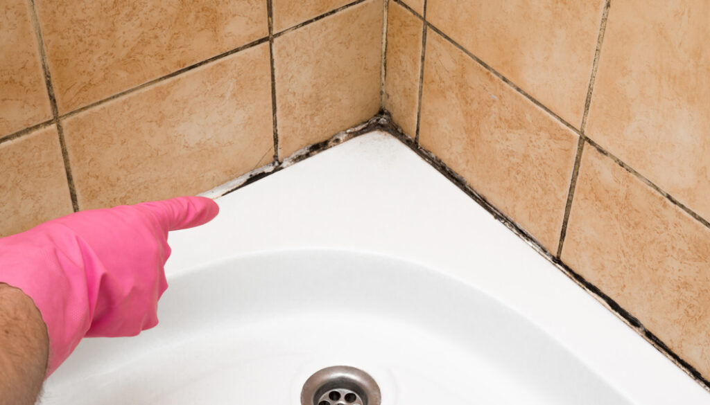 10 Tricks to Prevent Mold in Your Bathroom